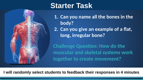 NEW AQA GCSE PE - MUSCULAR SYSTEM FULL UNIT OF WORK & ALL RESOURCES ! (GCSE 9-1)