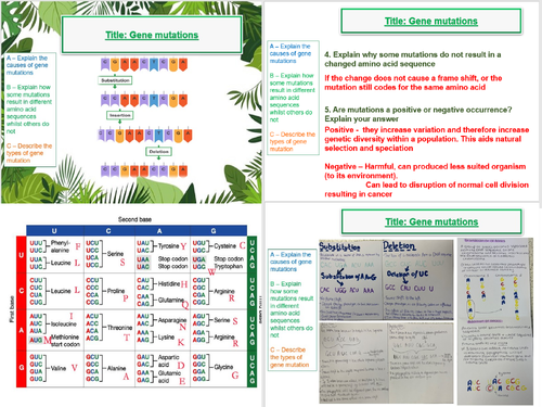 Gene Mutations Aqa A Level Biology 20 Gene Expression A2 Teaching Resources