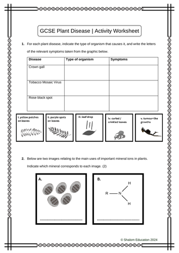 GCSE Biology - Plant Disease Activity Worksheet