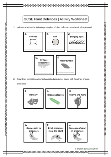 GCSE Biology - Plant Defences Activity Worksheet