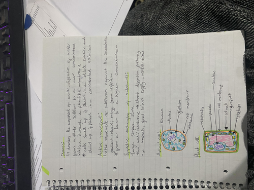 Cell Structure and Transport GCSE