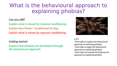 What is the behavioural approach to explaining phobias?