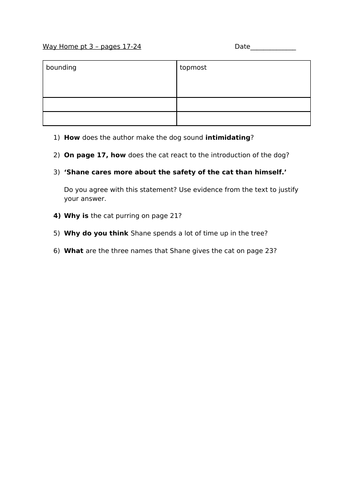 Way Home by Libby Hathorn Guided Reading Questions