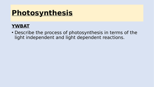 A level Biology - photosynthesis lesson