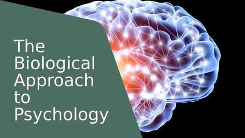 The Biological Approach to Psychology