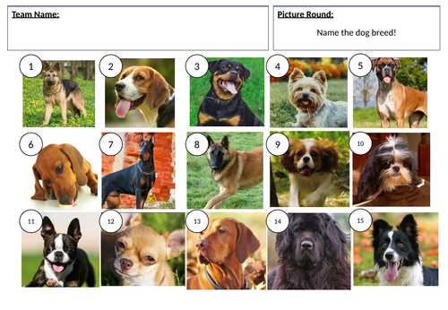 Dog Breeds Picture Quiz - answers in descrption
