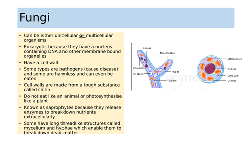 IGCSE Biology Section 1 Lesson 2 Classifying Organisms | Teaching Resources