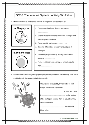 GCSE Biology - The Immune System Activity Worksheet