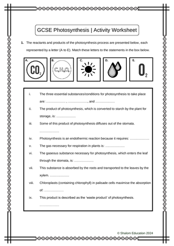 GCSE Biology - Photosynthesis Activity Worksheet