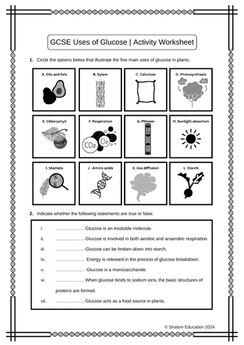 GCSE Biology - Uses of Glucose Activity Worksheet