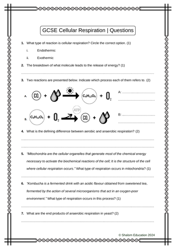 GCSE Biology - Cellular Respiration Practice Questions Worksheet