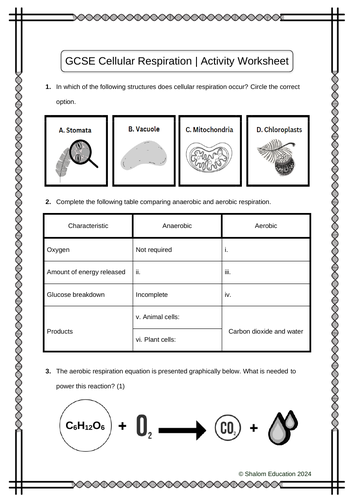 GCSE Biology - Cellular Respiration Activity Worksheet