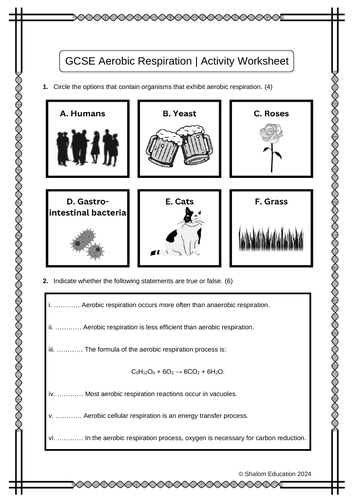 GCSE Biology - Aerobic Respiration Activity Worksheet