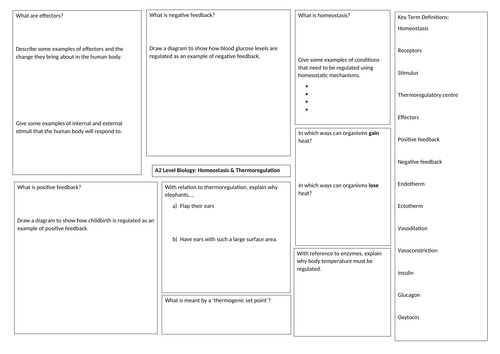 OCR A Level Biology A Homeostasis and Thermoregulation revision