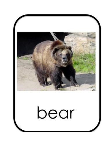 Hook Lesson We are going on a bear hunt.