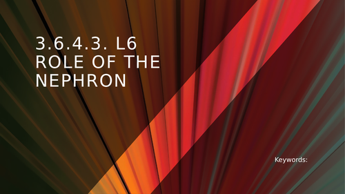 3.6.4.3. L6 ROLE OF THE NEPHRON​