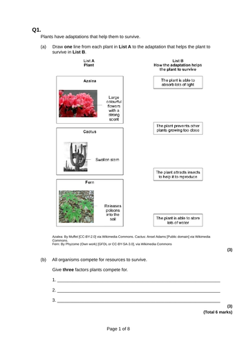 Adaptations in plants GCSE BIO | Teaching Resources