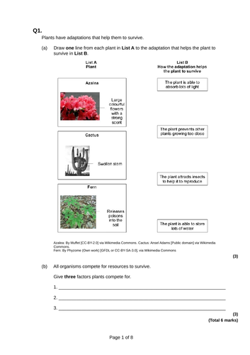 Adaptations in plants GCSE BIO