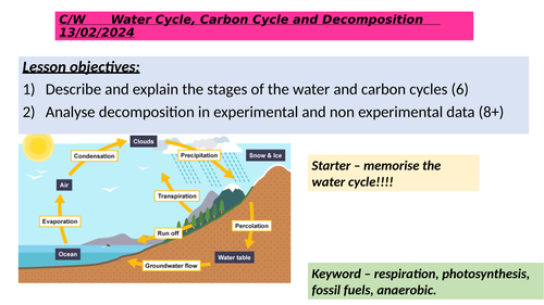 Water and carbon cycle