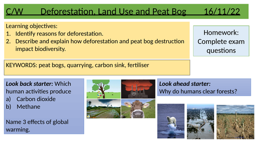 Deforestation and land pollution
