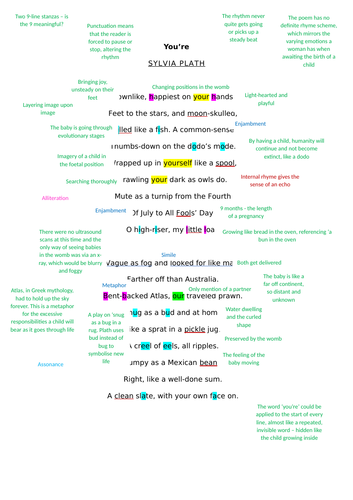 Analysis of You're by Sylvia Plath