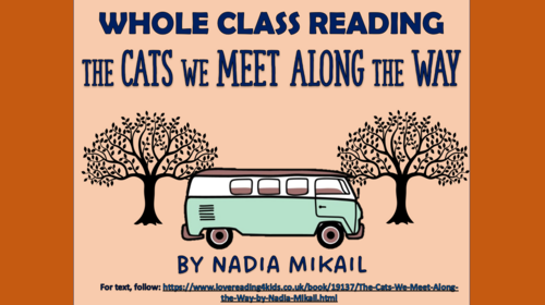 The Cats We Meet Along the Way - Reading Comprehension Lesson!