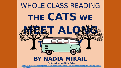 The Cats We Meet Along the Way - Reading Comprehension Lesson!