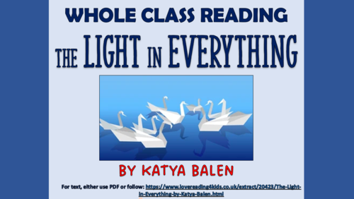 The Light in Everything - Whole Class Reading Session!