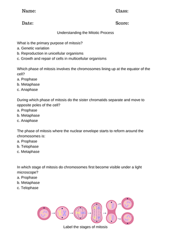 Unit CB2 EDEXCEL GCSE Biology