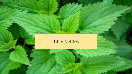 Nettles - Vernon Scannell