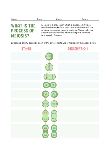 Unit CB3 EDEXCEL GCSE Biology