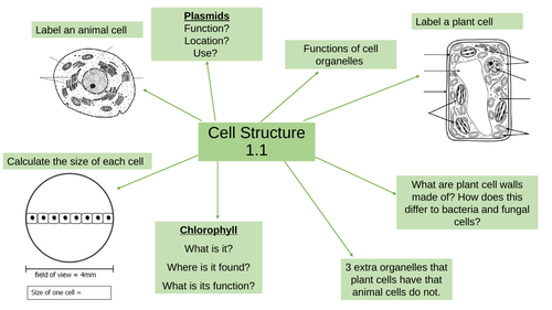 Mindmap Recap National 5 Biology Cell Structure 1.1