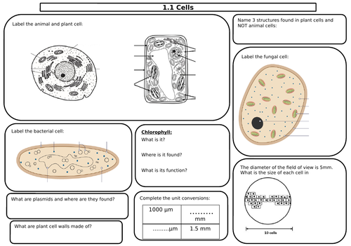Revision MAT for 1.1 and 1.2 National 5 Biology