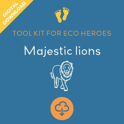 'Majestic Lions' Tool Kits for Eco Heroes (Primary)
