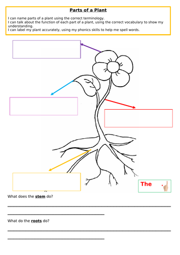 Labelling parts of a plant