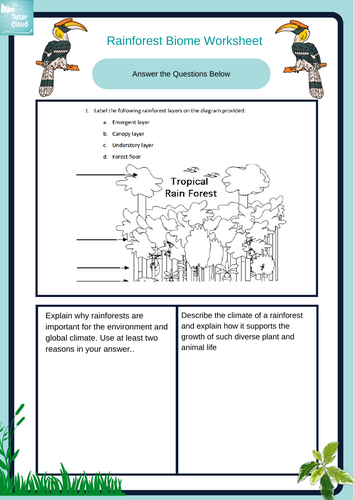 Geography Worksheet: Rainforest Biome | Teaching Resources
