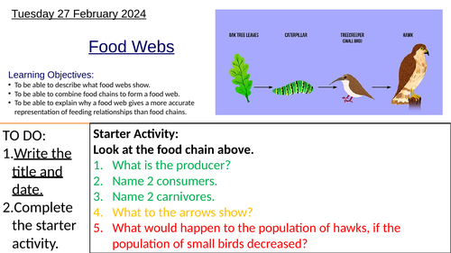 KS3 Biology Food Webs: Complete Lesson | Teaching Resources