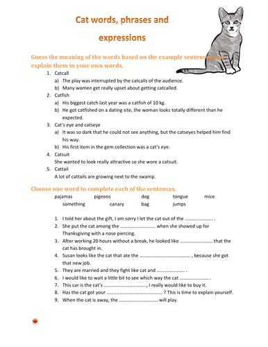 Cat expressions, idioms