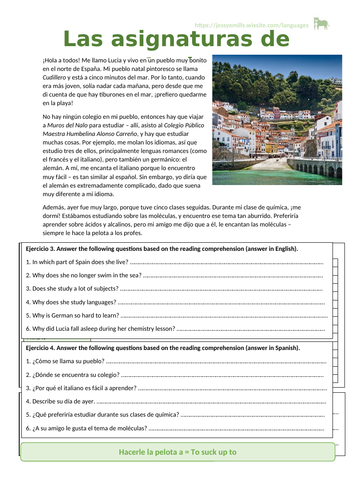 Spanish Reading Comprehension - Subjects