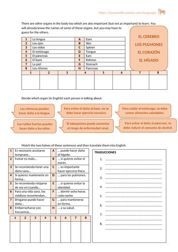 Spanish Worksheet - Organs
