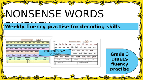 NONSENSE words fluency check Grade 3, DIBELS words | Teaching Resources