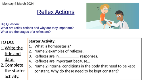 GCSE Biology Reflex Actions: Complete Lesson