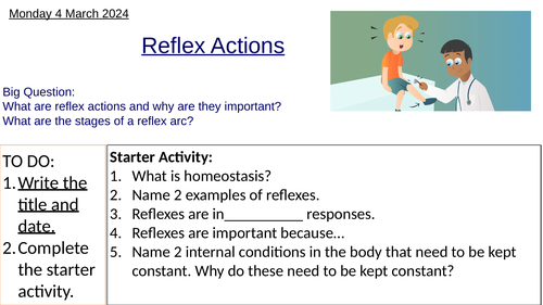 GCSE Reflex Actions