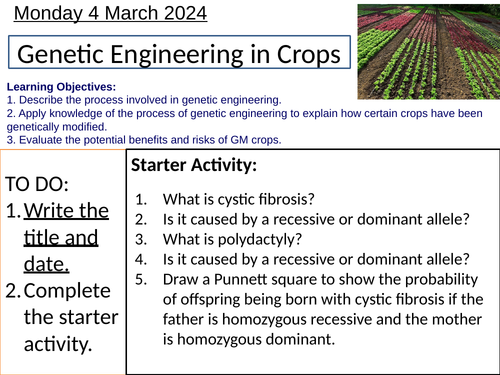 GCSE Genetic Engineering in Crops