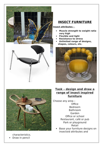 Insect Furniture