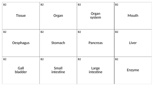 B2 key word and definition cards