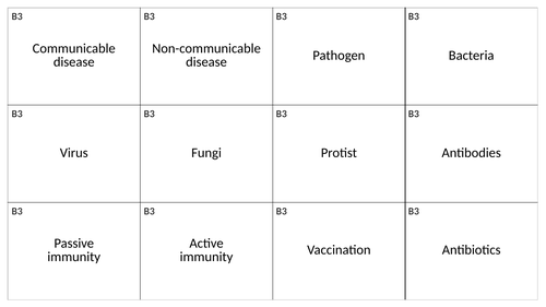 B3 key word and definition cards