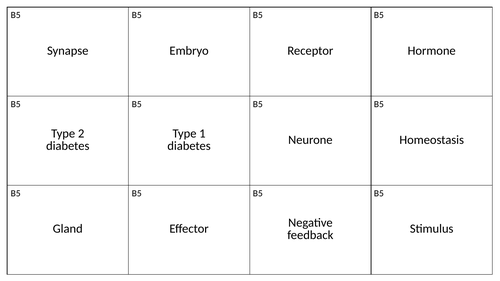 B5 key word and definition cards