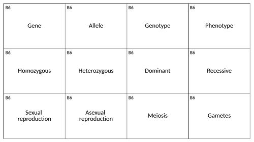 B6 key word and definition cards