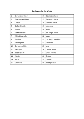 iGCSE PE cardiovascular system key words